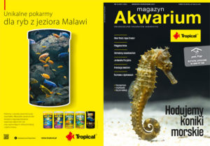 Skład Magazynu Akwarium